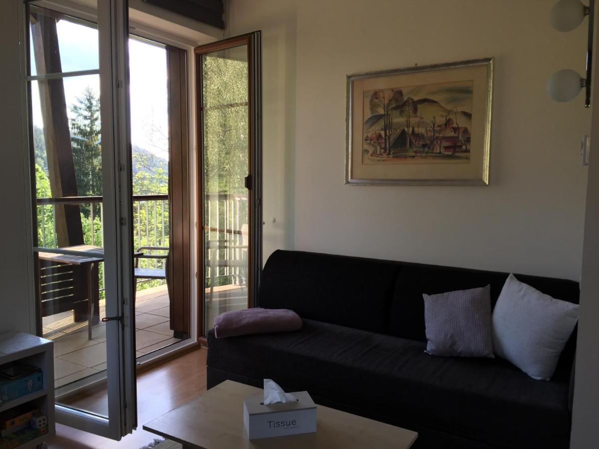 Velké Karlovice Apartman U Sjezdovky מראה חיצוני תמונה