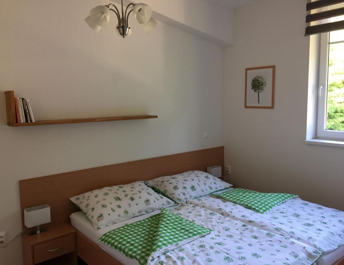 Velké Karlovice Apartman U Sjezdovky מראה חיצוני תמונה