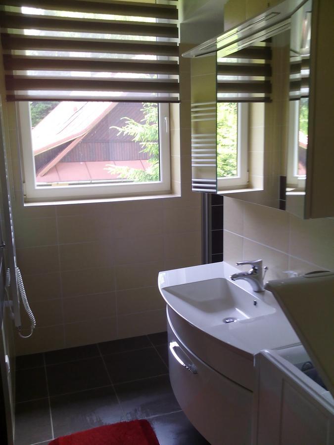 Velké Karlovice Apartman U Sjezdovky מראה חיצוני תמונה